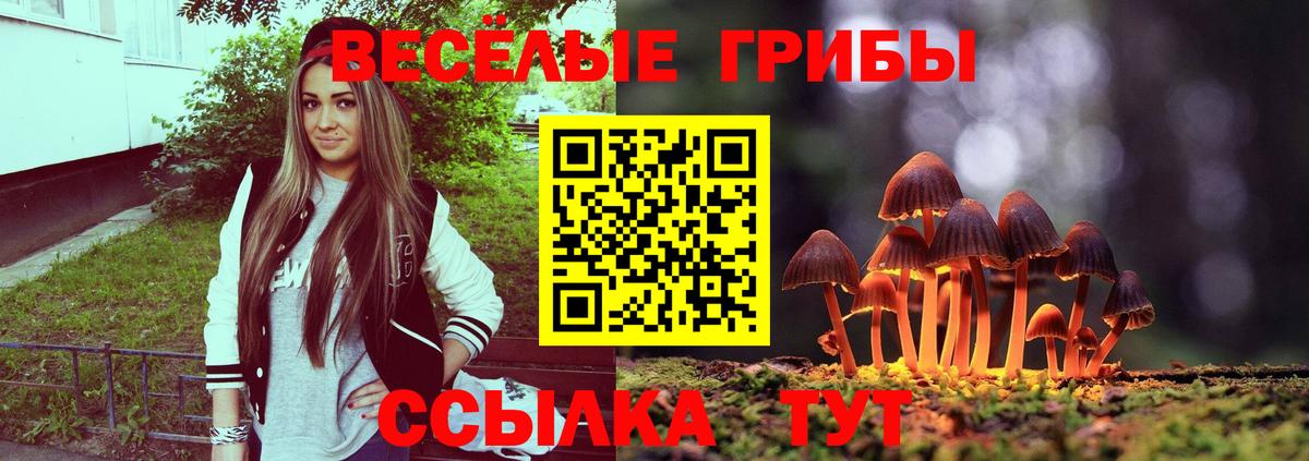 Псилоцибиновые грибы MAGIC MUSHROOMS Мыски