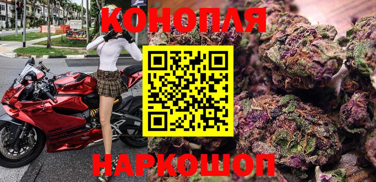 Каннабис сатива Мыски
